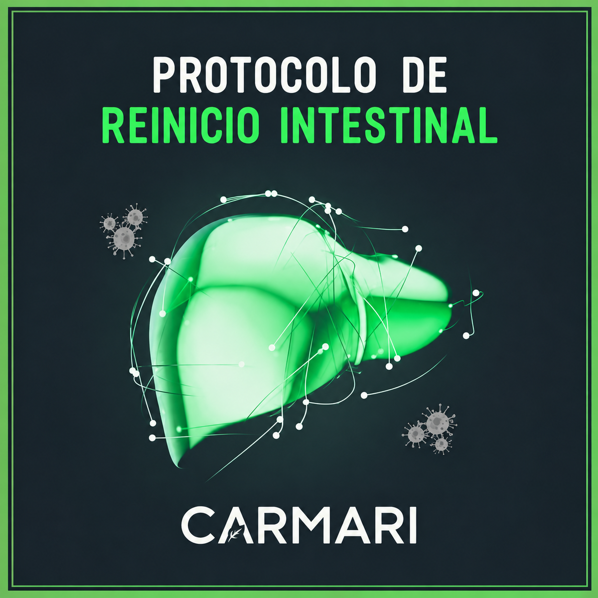 Guía Digital - Protocolo Reinicia tu Hígado